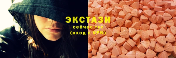 шишки Арсеньев