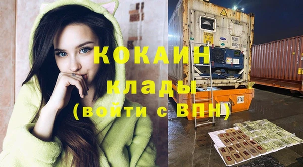 шишки Арсеньев
