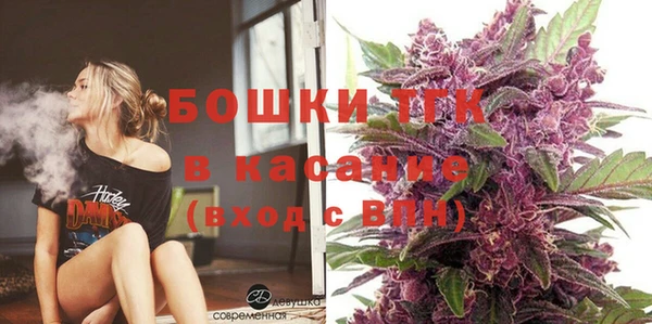 шишки Арсеньев