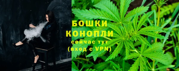 шишки Арсеньев