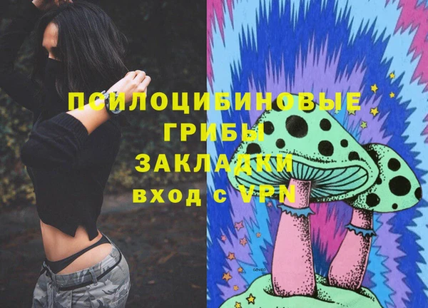 мяу мяу мука Алексеевка
