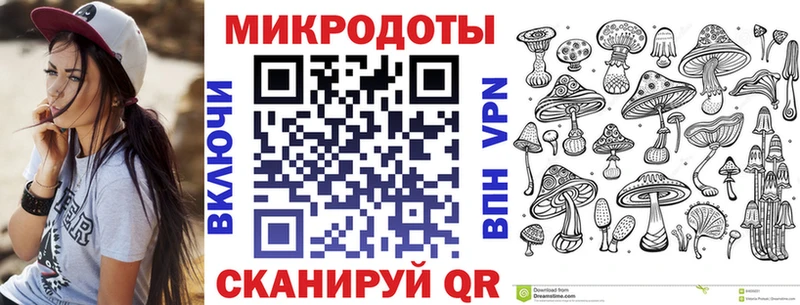 Галлюциногенные грибы Psilocybe  Липки 